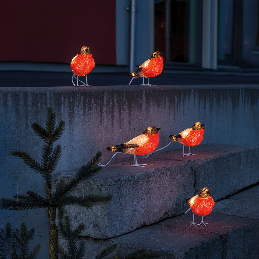 LED Acryl Rotkehlchen 5er - Set 40 kw LED außen - WeihnachtsladenKonstsmide
