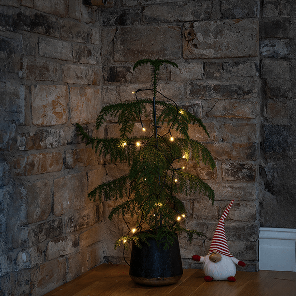 LED Lichterkette 30 warmweiß LED - WeihnachtsladenKonstsmide