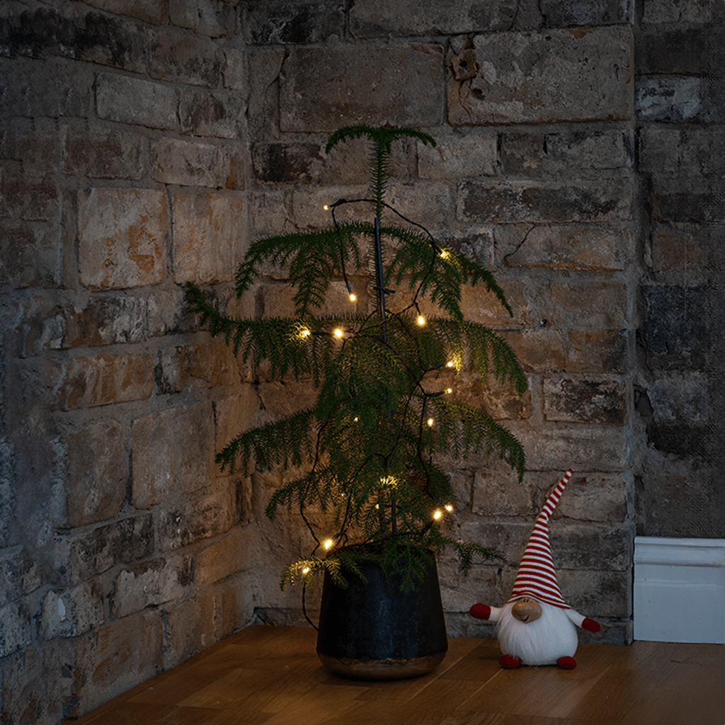 LED Lichterkette 50 ww LED - WeihnachtsladenKonstsmide