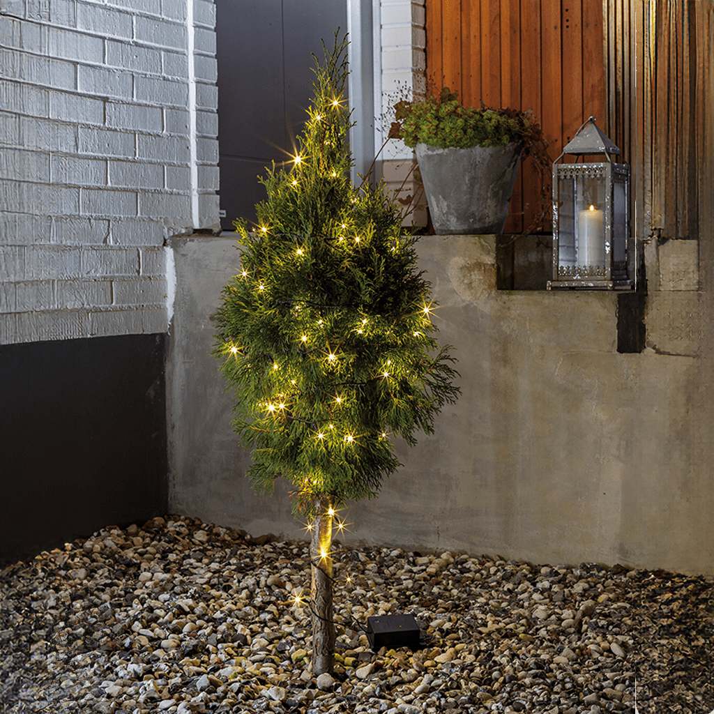 LED Lichterkett.schw. 80 ww LED Timer, batteriebetrieben - WeihnachtsladenKonstsmide