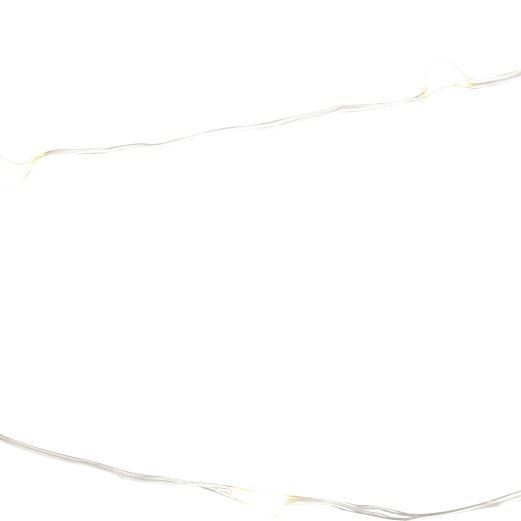 LED - Micro - Lichterkette für innen und außen - WeihnachtsladenEGB