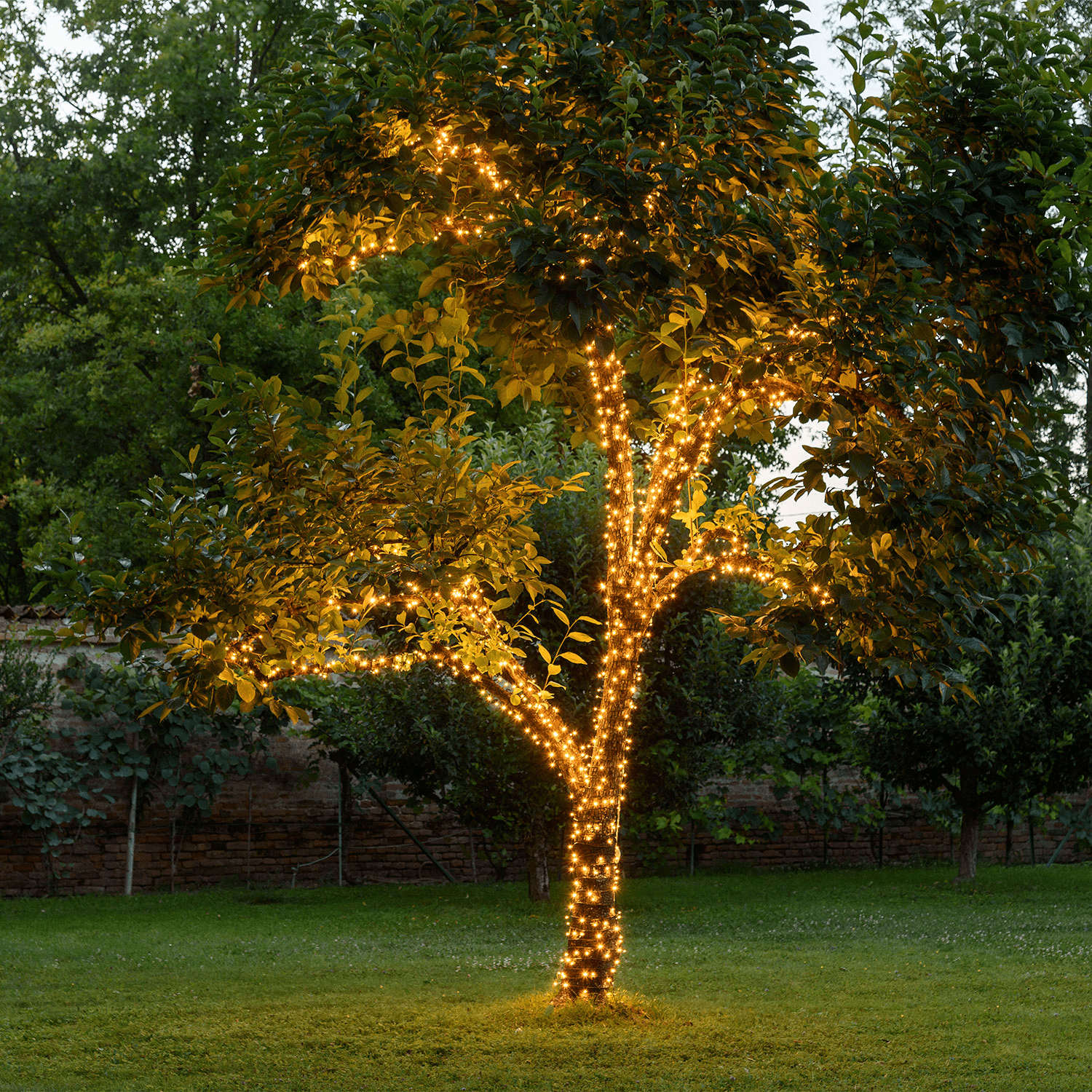 LED - System Lichterkette - WeihnachtsladenLotti