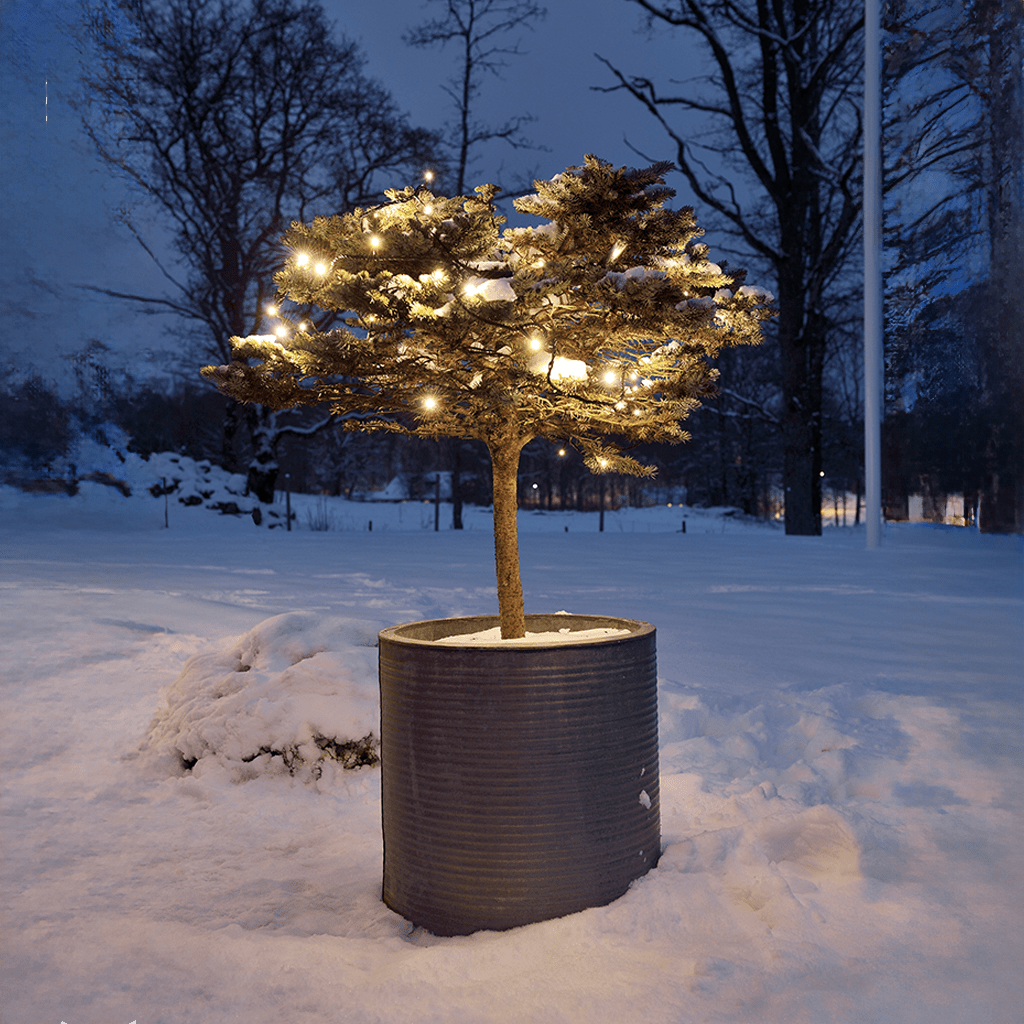 LED System Lichterkette mit 50 LEDs in warmweiß - WeihnachtsladenKonstsmide
