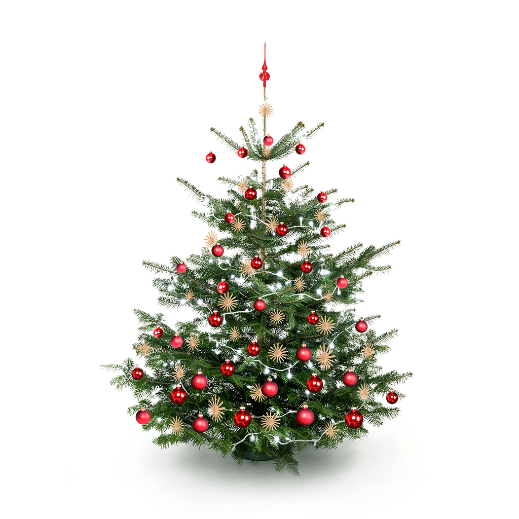 Lumix Tree Topper rot Christbaumspitze aus mundgeblasenem Glas - WeihnachtsladenKRINNER