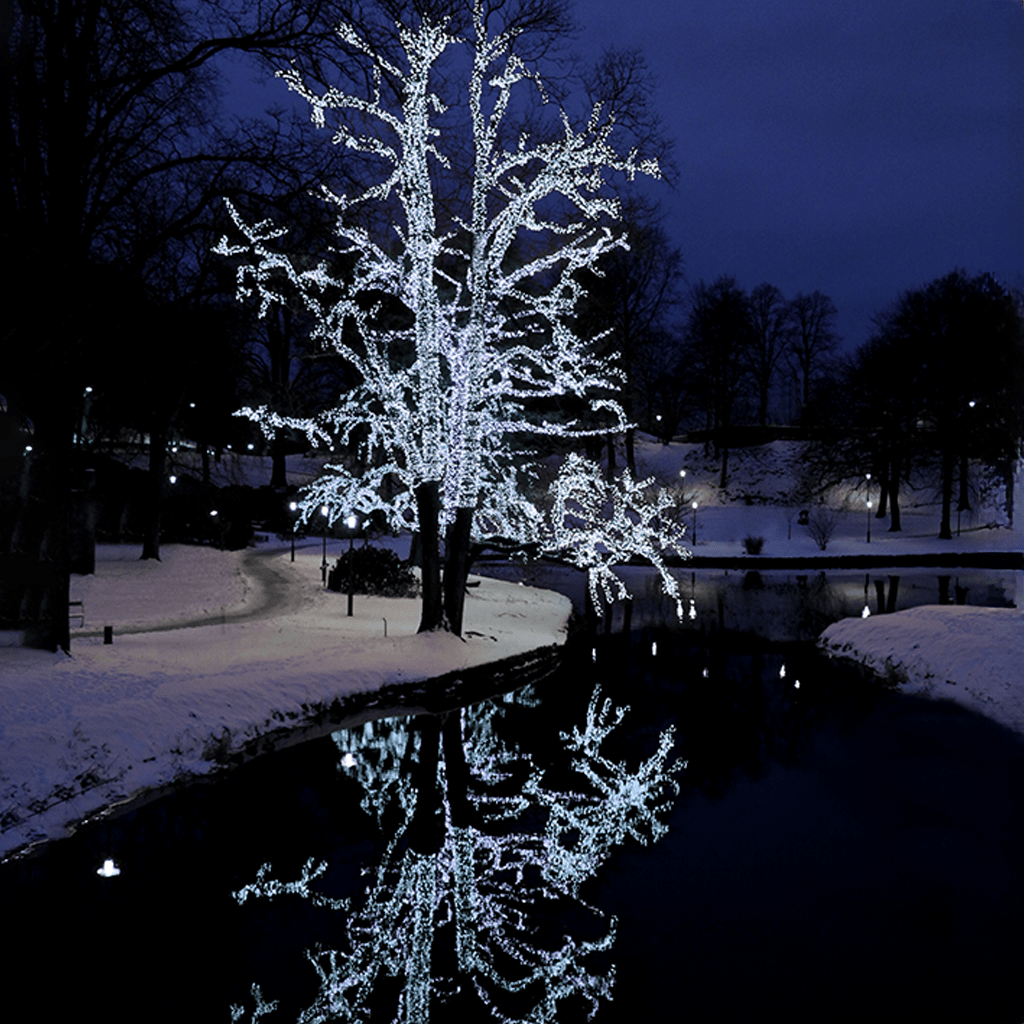 SYSTEM LED Verlängerung 50 flg. in kaltweiß - WeihnachtsladenStar Trading