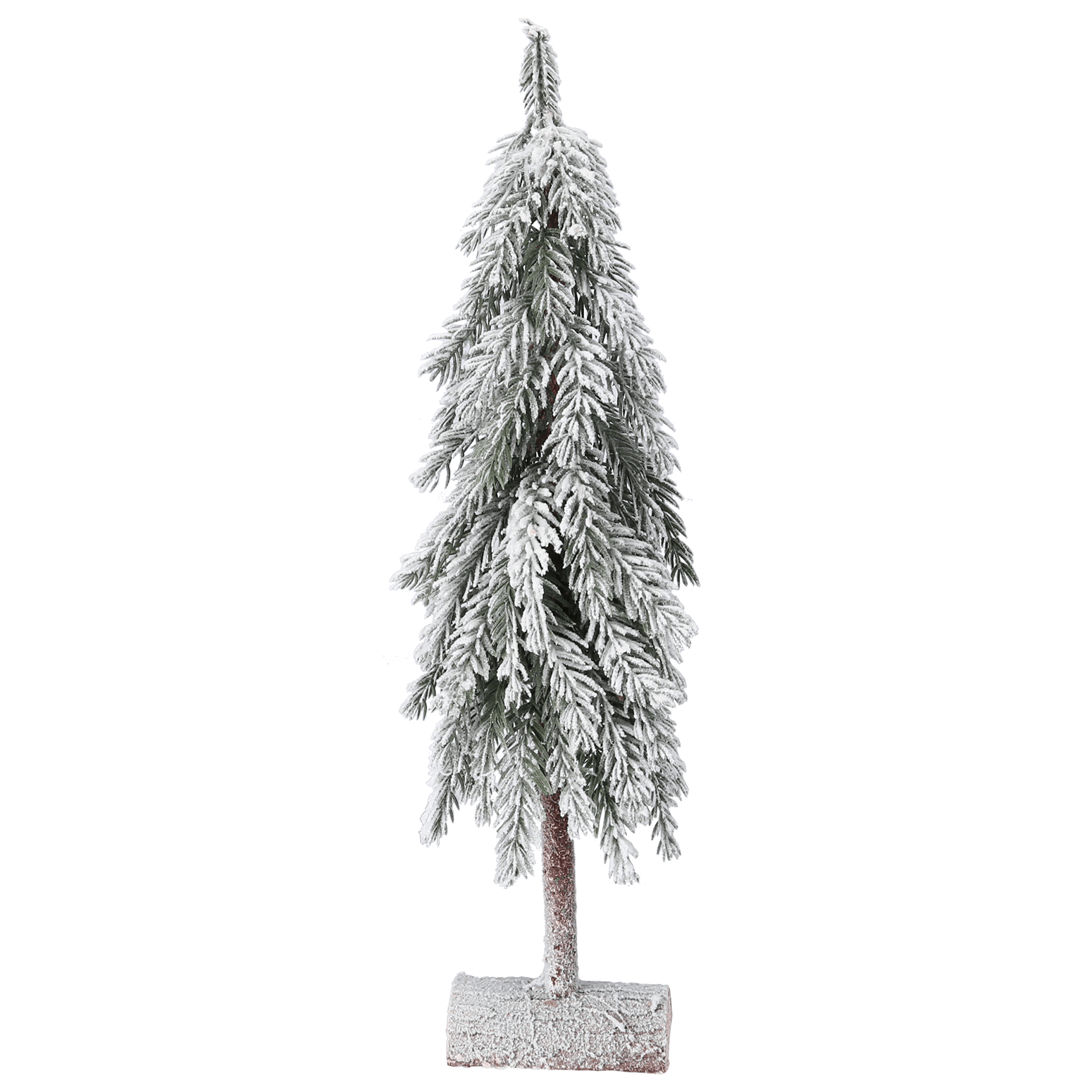 Tannen - Baum - WeihnachtsladenSöllner Floristik