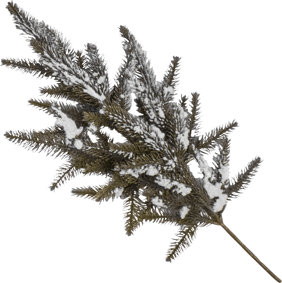 Tannenzweig mit Schnee - WeihnachtsladenSöllner Floristik